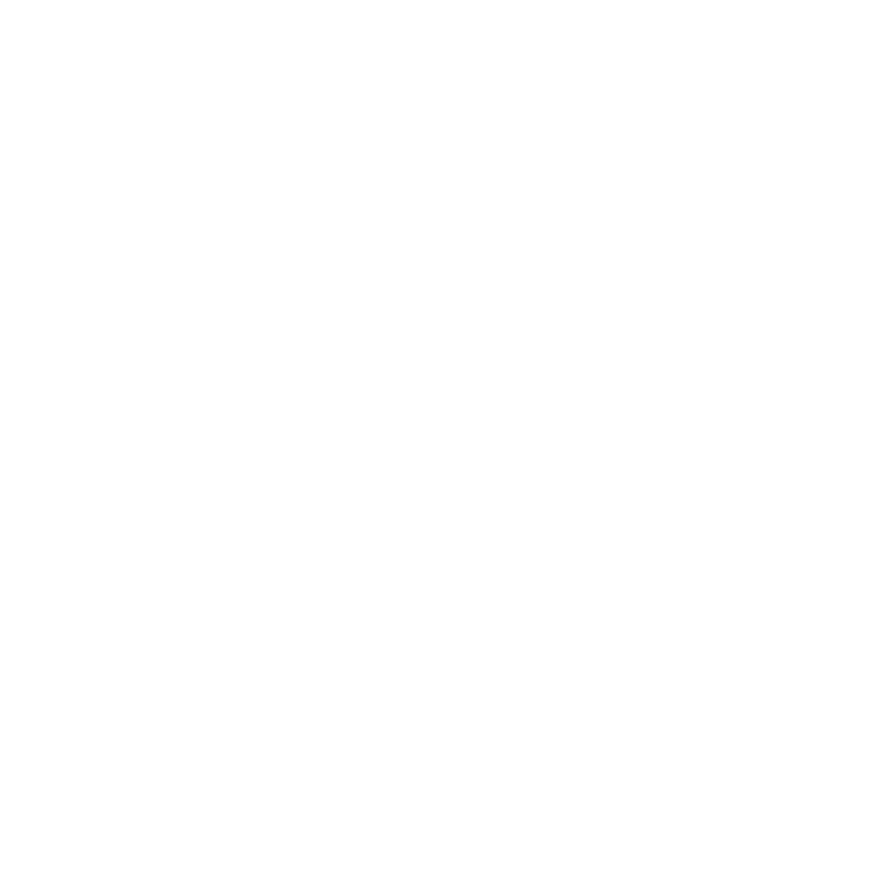 Peer Power Youth logo
